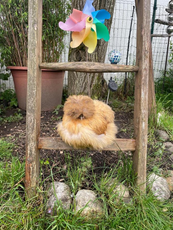 Ferienwohnung Seidenhuhn Kiefersfelden Εξωτερικό φωτογραφία
